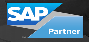 SAP ABAP 프로그래밍